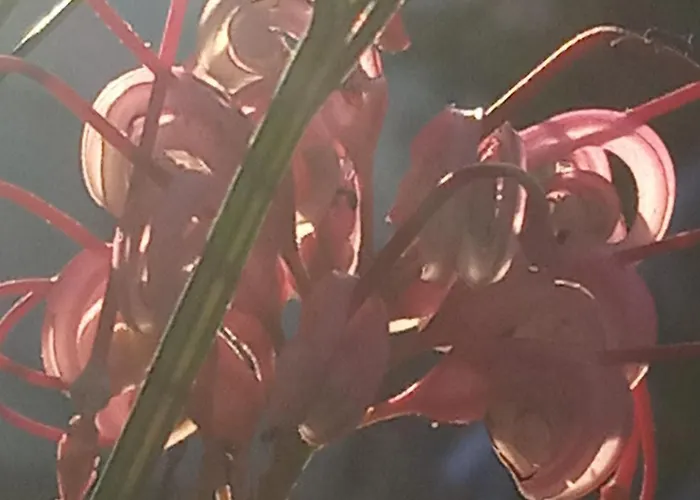 Holiday home Giaglakis *