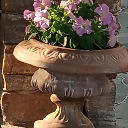 Giaglakis Platis Gialos (Sifnos)