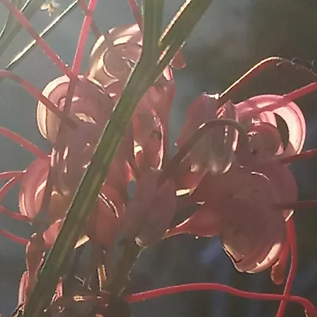 Сasa de vacaciones Giaglakis *