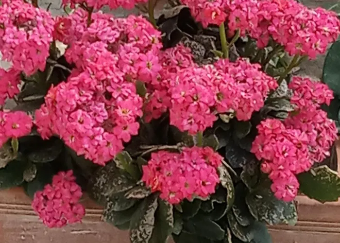 Σπίτι διακοπών Giaglakis