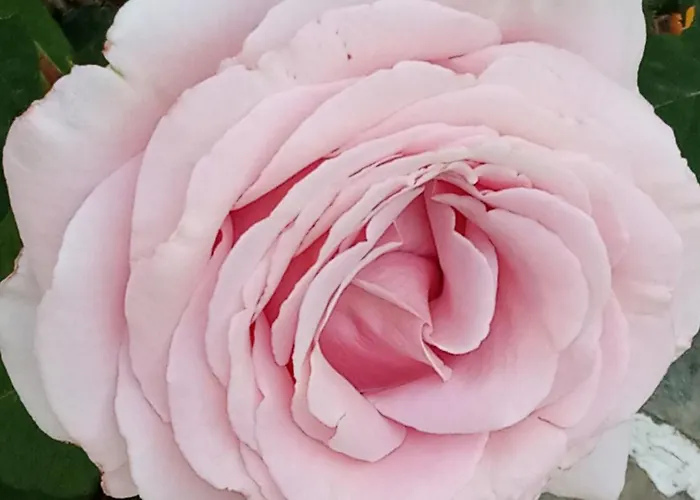 Giaglakis Hébergement de vacances Platis Gialos (Sifnos)