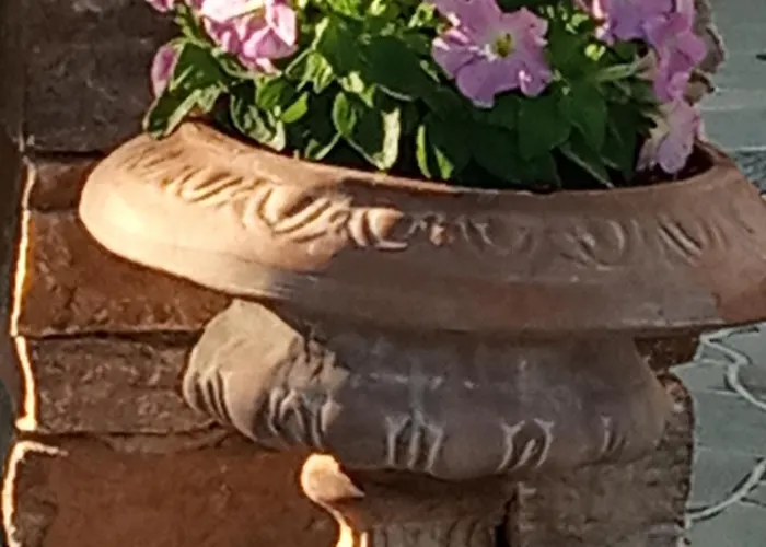 Giaglakis Platis Gialos (Sifnos)